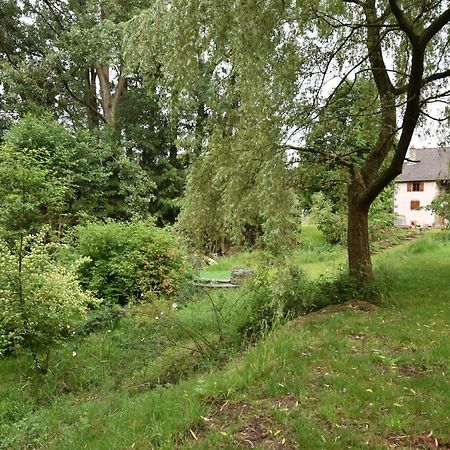 Serendipity Bed&Breakfast Saint-Die-des-Vosges 外观 照片