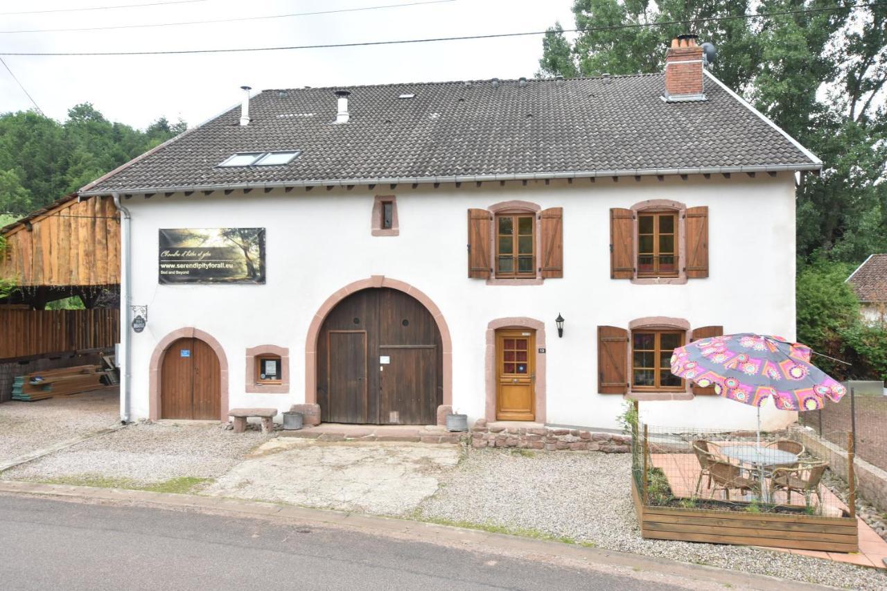 Serendipity Bed&Breakfast Saint-Die-des-Vosges 外观 照片