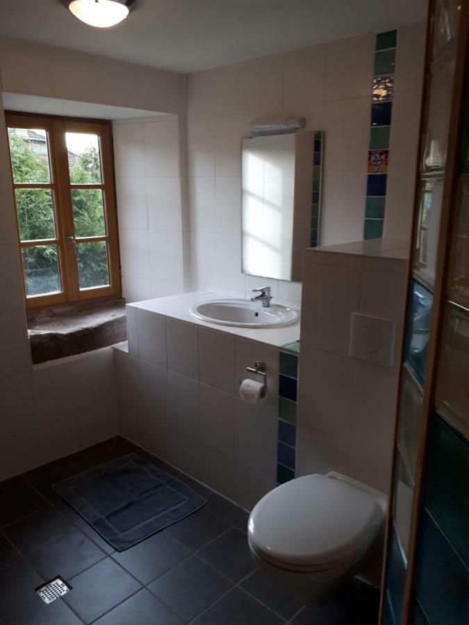 Serendipity Bed&Breakfast Saint-Die-des-Vosges 外观 照片