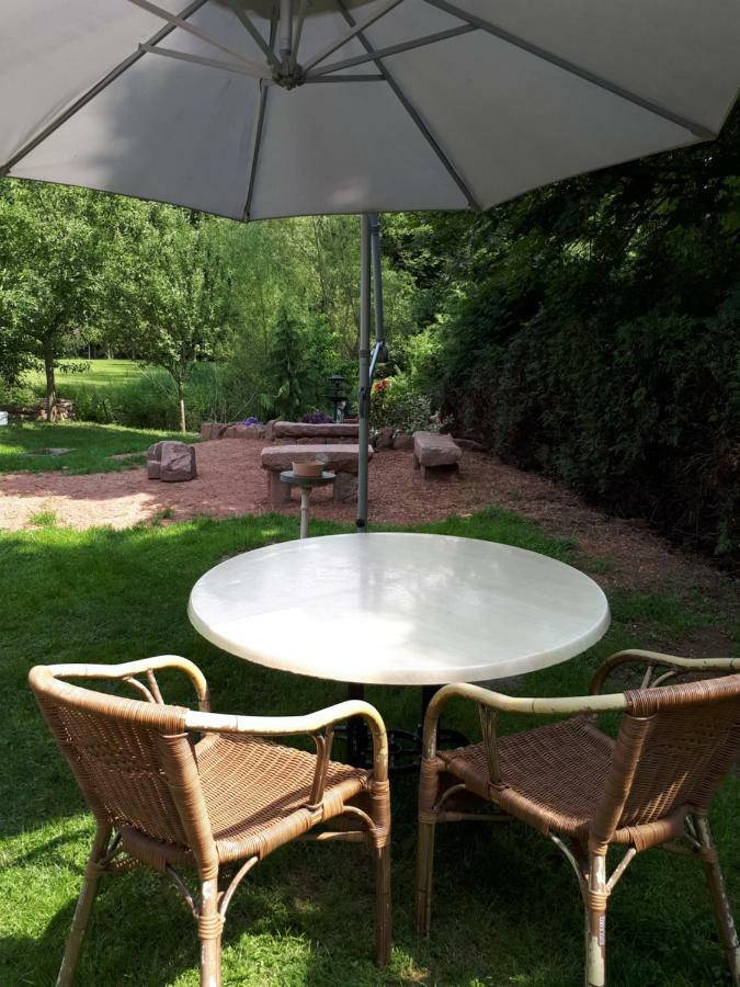 Serendipity Bed&Breakfast Saint-Die-des-Vosges 外观 照片