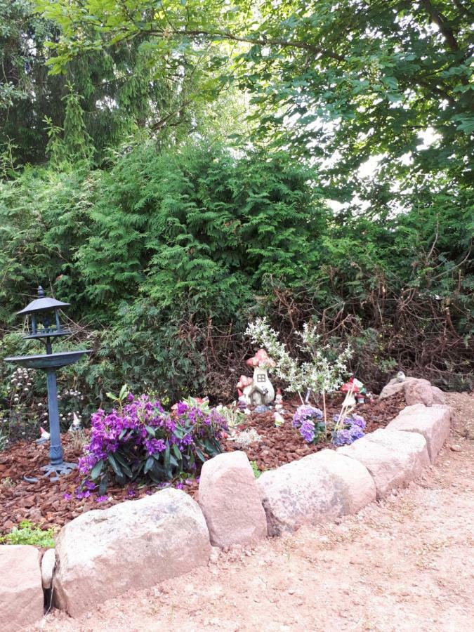 Serendipity Bed&Breakfast Saint-Die-des-Vosges 外观 照片