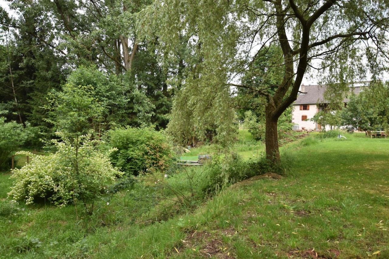 Serendipity Bed&Breakfast Saint-Die-des-Vosges 外观 照片